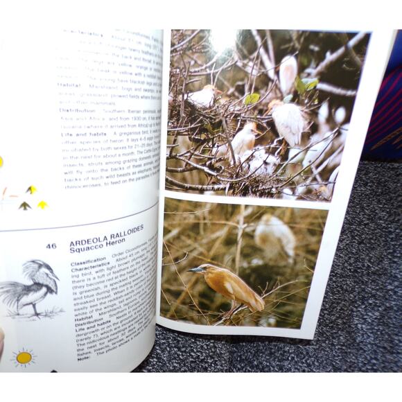 Simon & Shuster's Guide To Birds book 500 full color photos Nature Guide Series - Picture 6 of 6